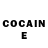 COCAIN Fish Scale Shivam Mittal