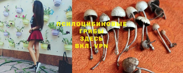 ешки Остров