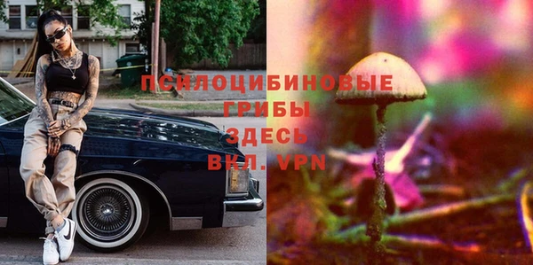 PSILOCYBIN Пестово