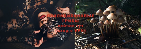 не бодяженный Осинники