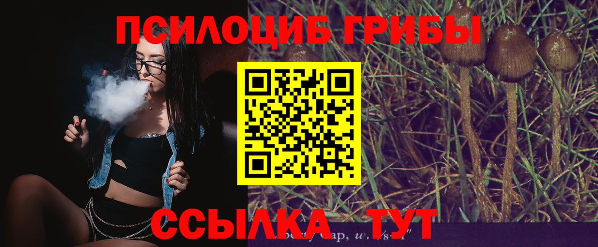Галлюциногенные грибы GOLDEN TEACHER  Галлюциногенные грибы прущие грибы  Вход с VPN  Зеленокумск 
