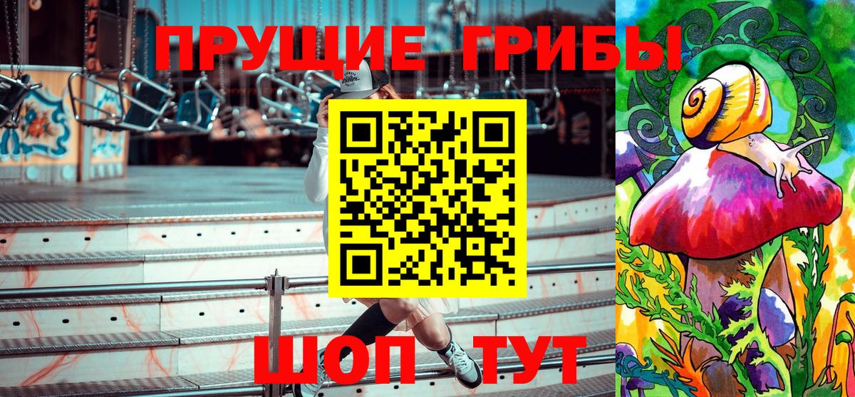 Псилоцибиновые грибы Psilocybe Зеленокумск