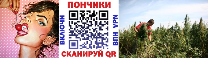 kraken как войти  купить   Зеленокумск  Марихуана сатива 
